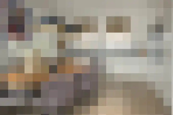 Baron 2 Heerenveen thumbnail 12