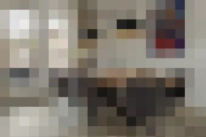 Baron 2 Heerenveen thumbnail 13