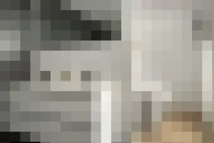 Baron 2 Heerenveen thumbnail 27