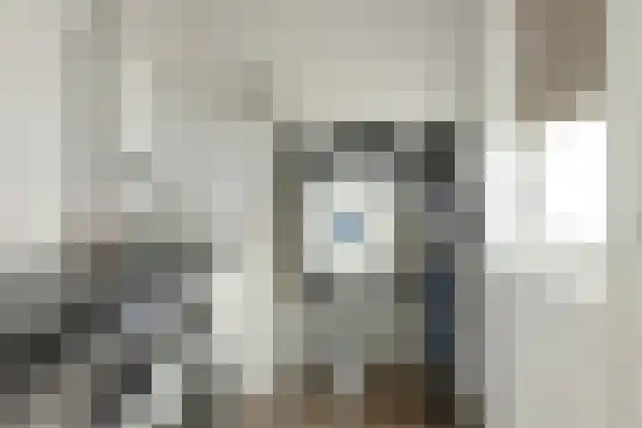 Baron 2 Heerenveen thumbnail 29