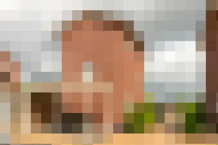 Baron 2 Heerenveen thumbnail 33