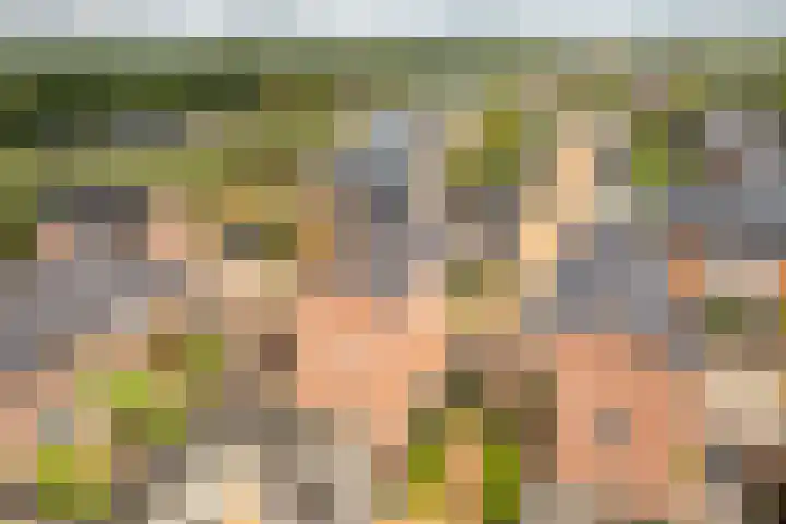 Baron 2 Heerenveen thumbnail 35