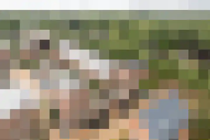 Baron 2 Heerenveen thumbnail 36