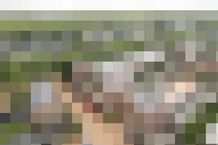 Baron 2 Heerenveen thumbnail 37