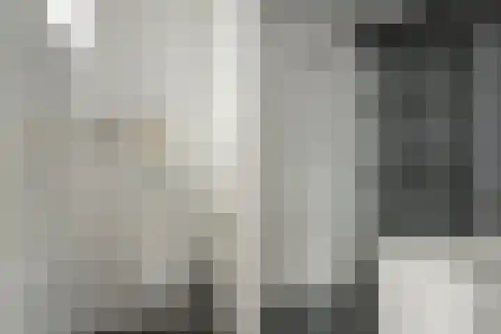Baron 2 Heerenveen thumbnail 5
