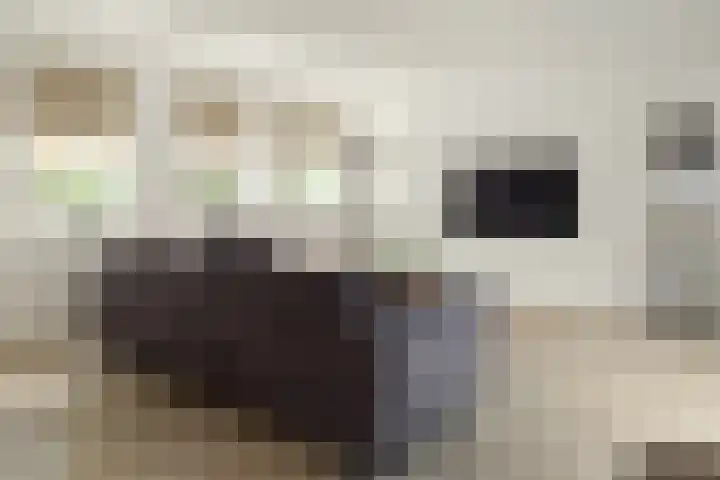 Baron 2 Heerenveen thumbnail 7