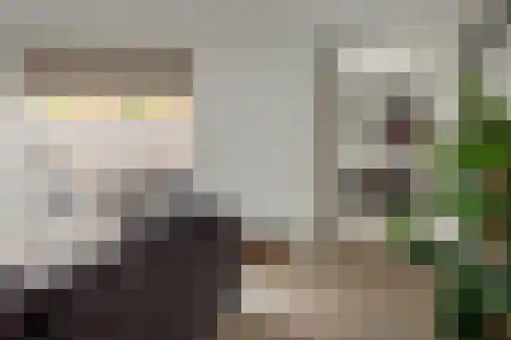 Baron 2 Heerenveen thumbnail 8