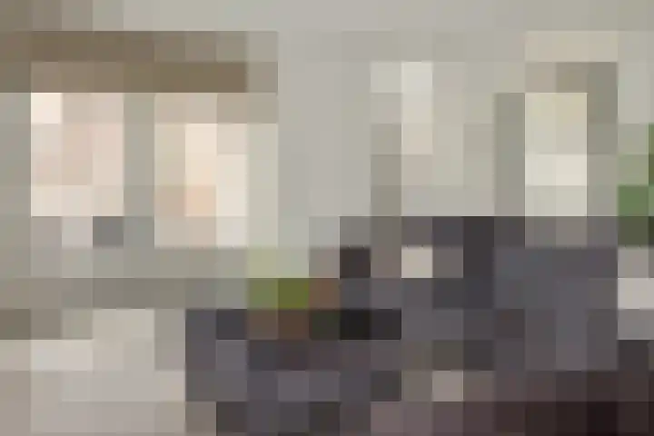 Baron 2 Heerenveen thumbnail 9