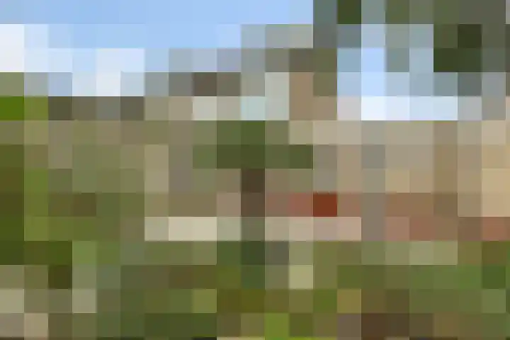 Baron Bentinckstraat 57 Ommen thumbnail 38