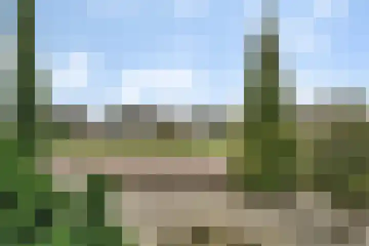 Baron Bentinckstraat 57 Ommen thumbnail 5