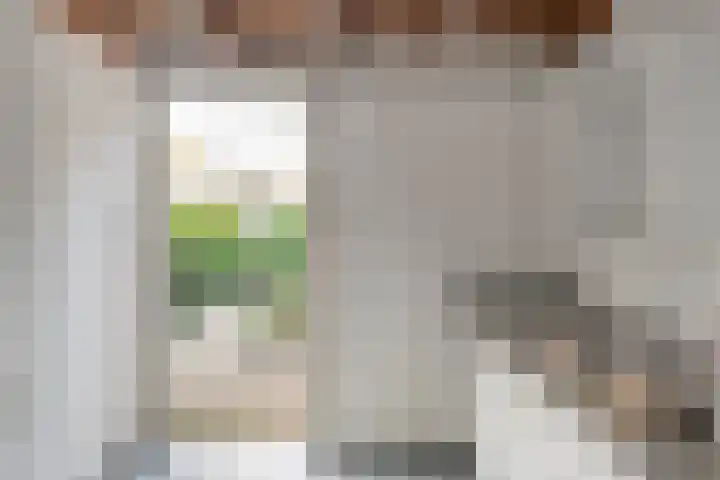 Baron Bentinckstraat 59 Ommen thumbnail 35