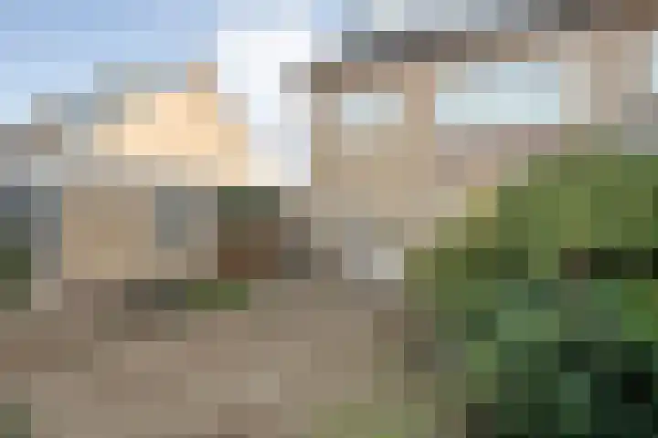 Baron Bentinckstraat 59 Ommen thumbnail 37