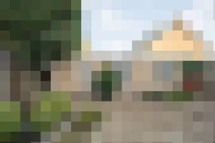 Baron Bentinckstraat 59 Ommen thumbnail 38