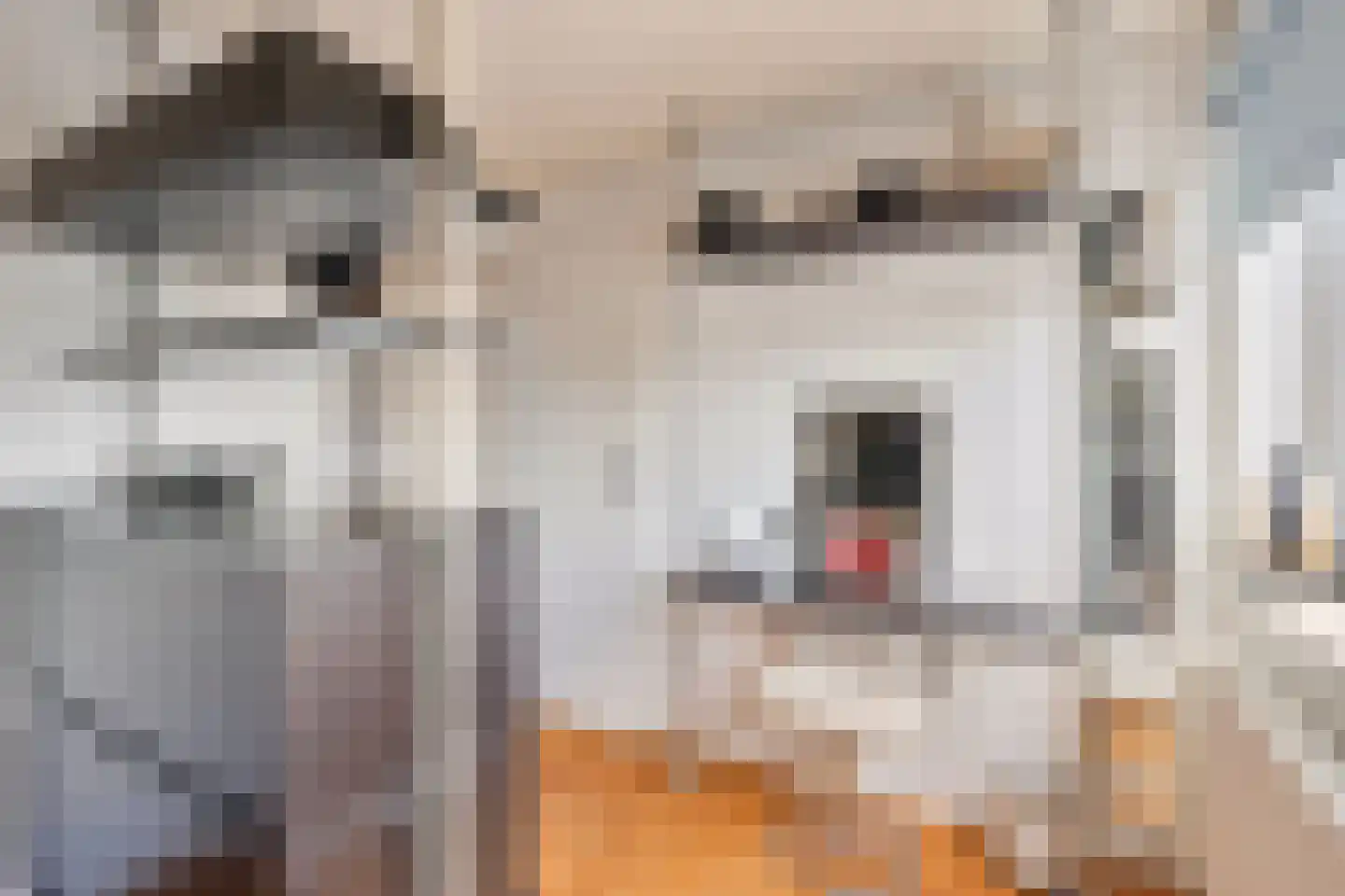 Baron Conradstraat 15 Geulle thumbnail 16