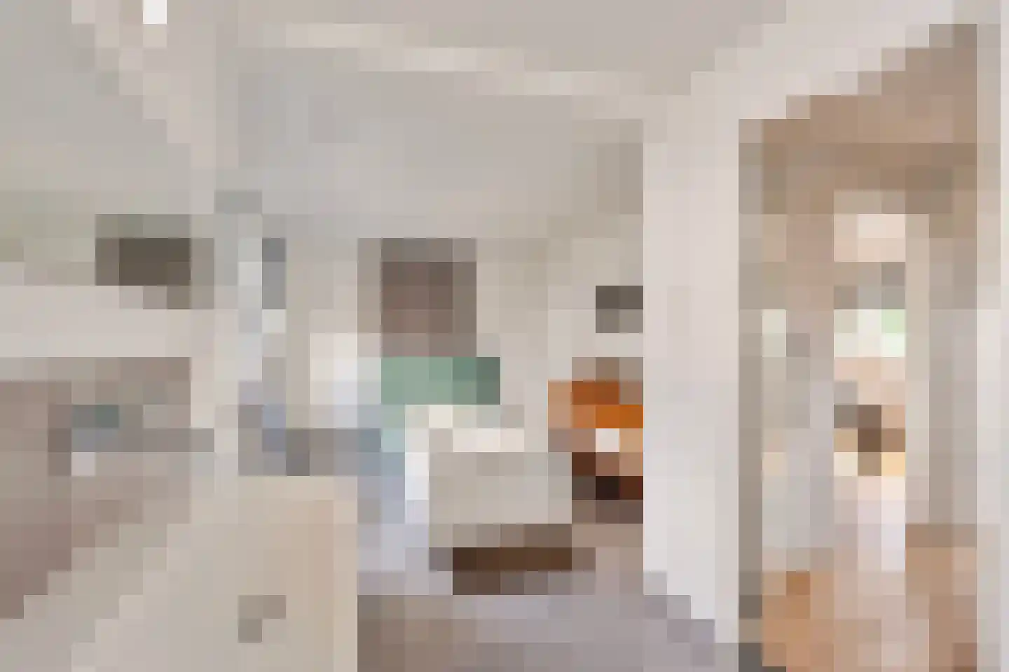Baron Conradstraat 15 Geulle thumbnail 17