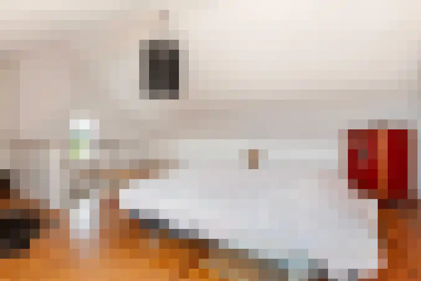 Baron Conradstraat 15 Geulle thumbnail 24