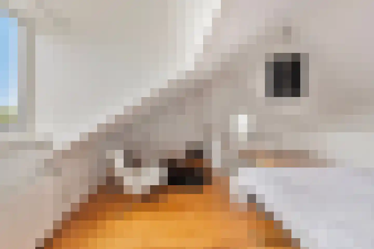Baron Conradstraat 15 Geulle thumbnail 25