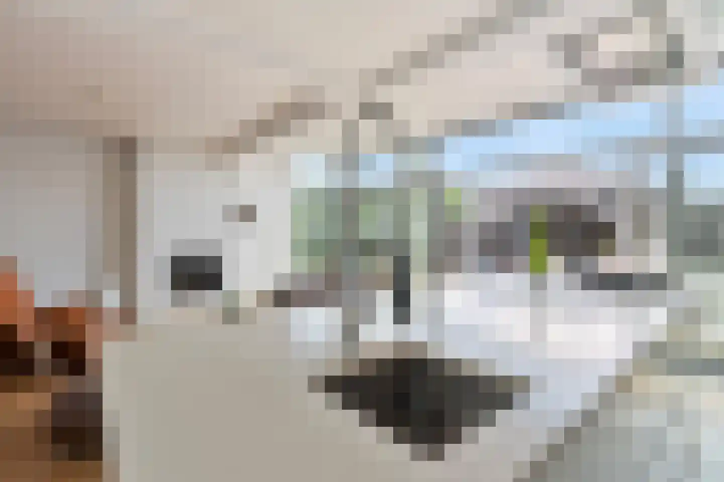 Baron Conradstraat 15 Geulle thumbnail 9