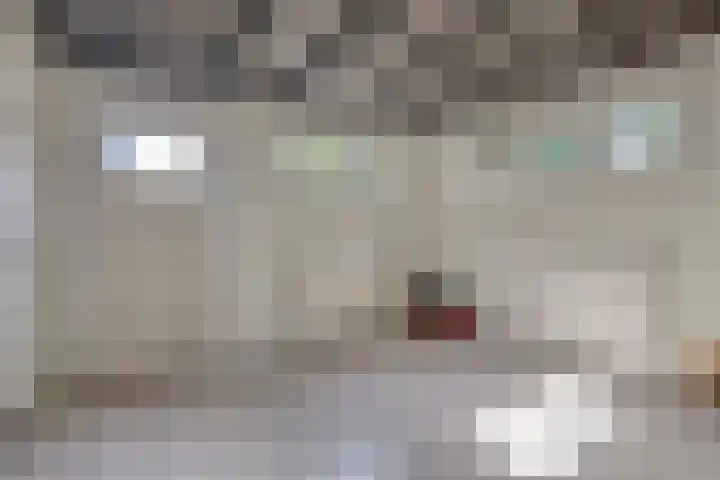 Baron d'Osystraat 27 Wijchen thumbnail 10