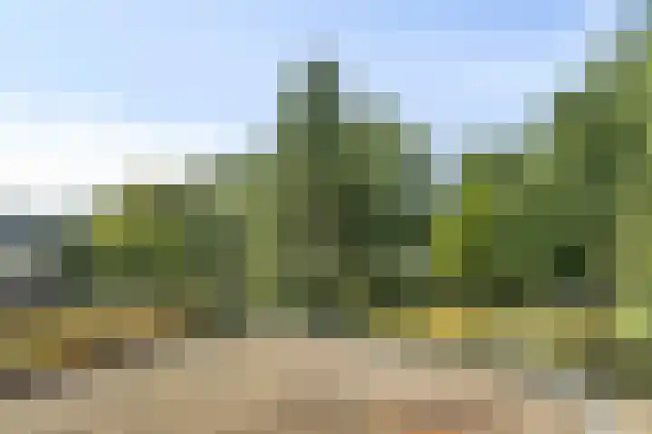Baron d'Osystraat 27 Wijchen thumbnail 20
