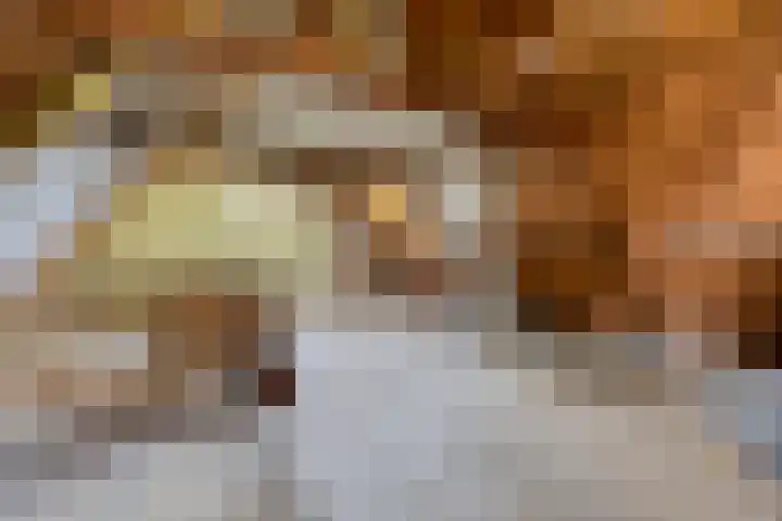 Baron d'Osystraat 27 Wijchen thumbnail 22