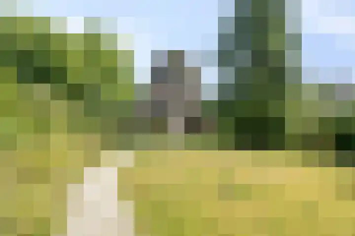 Baron d'Osystraat 27 Wijchen thumbnail 23