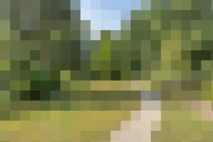 Baron d'Osystraat 27 Wijchen thumbnail 26