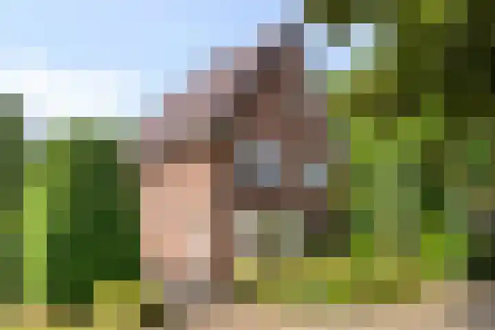 Baron d'Osystraat 27 Wijchen thumbnail 28