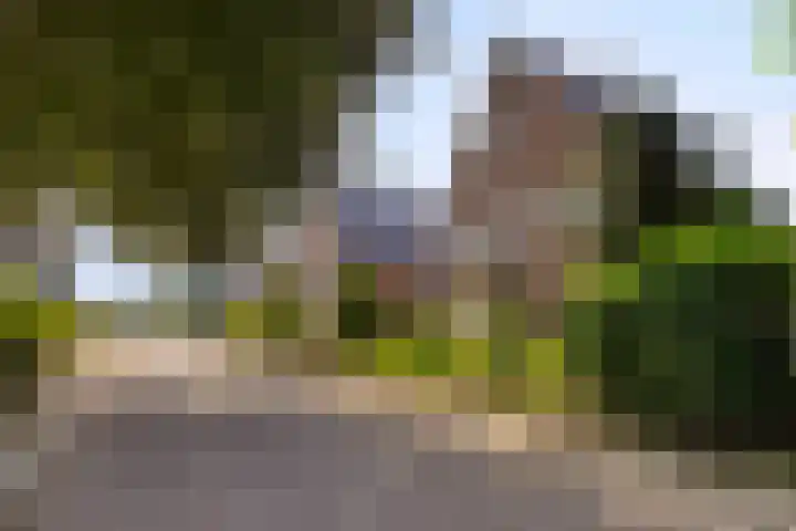 Baron d'Osystraat 27 Wijchen thumbnail 30