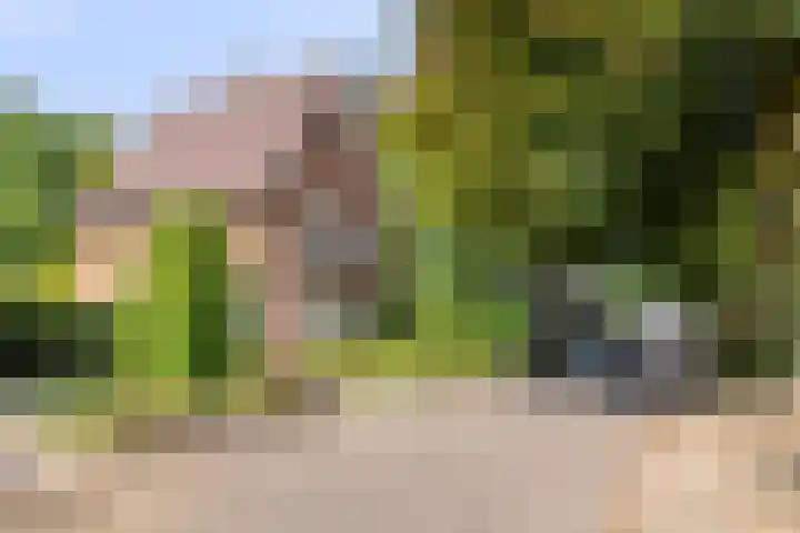 Baron d'Osystraat 27 Wijchen thumbnail 31