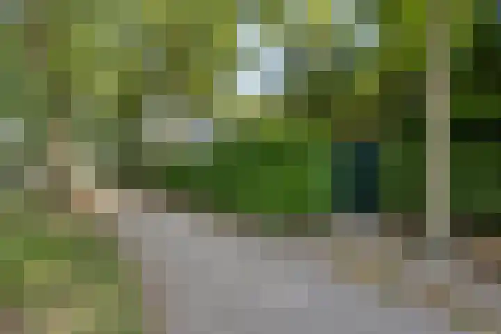 Baron d'Osystraat 27 Wijchen thumbnail 32