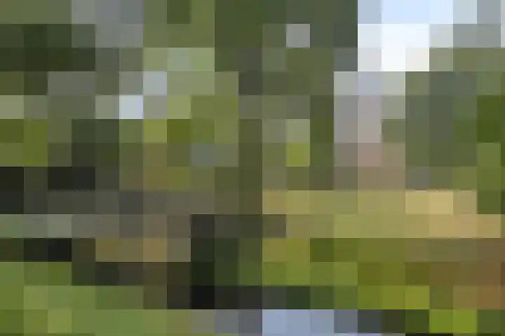 Baron d'Osystraat 27 Wijchen thumbnail 34