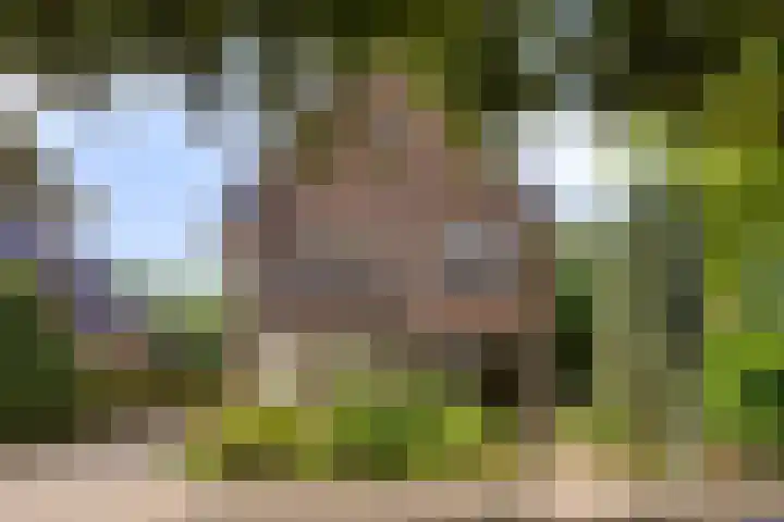 Baron d'Osystraat 27 Wijchen thumbnail 40
