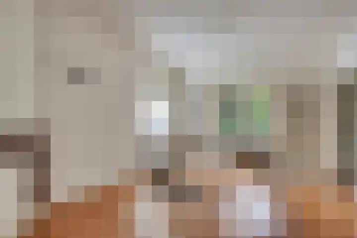 Baron d'Osystraat 27 Wijchen thumbnail 6