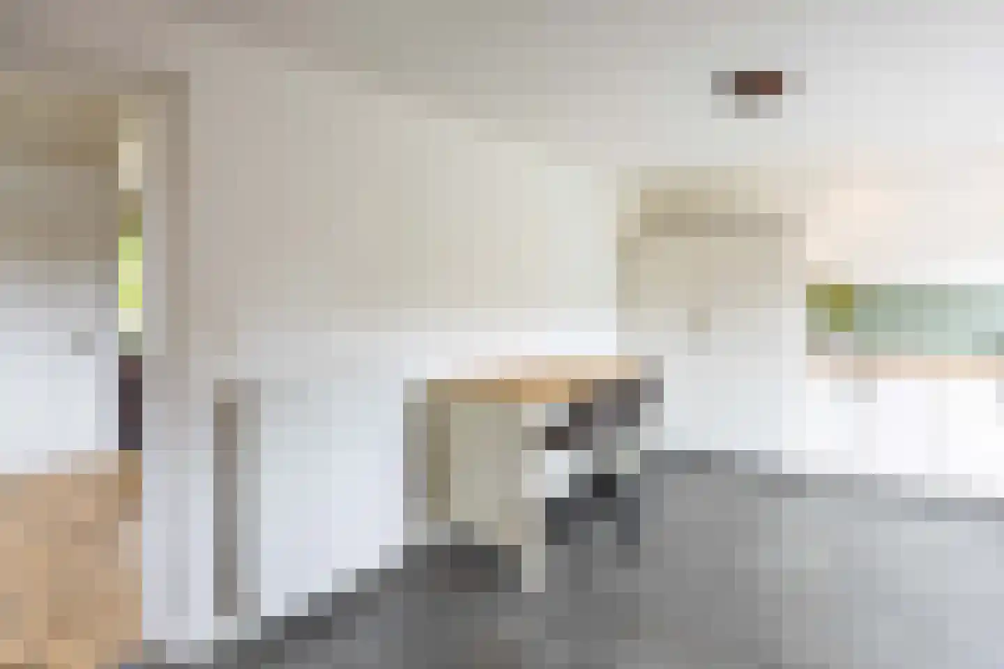 Baron de Liedelstraat 10 Bergen L thumbnail 13