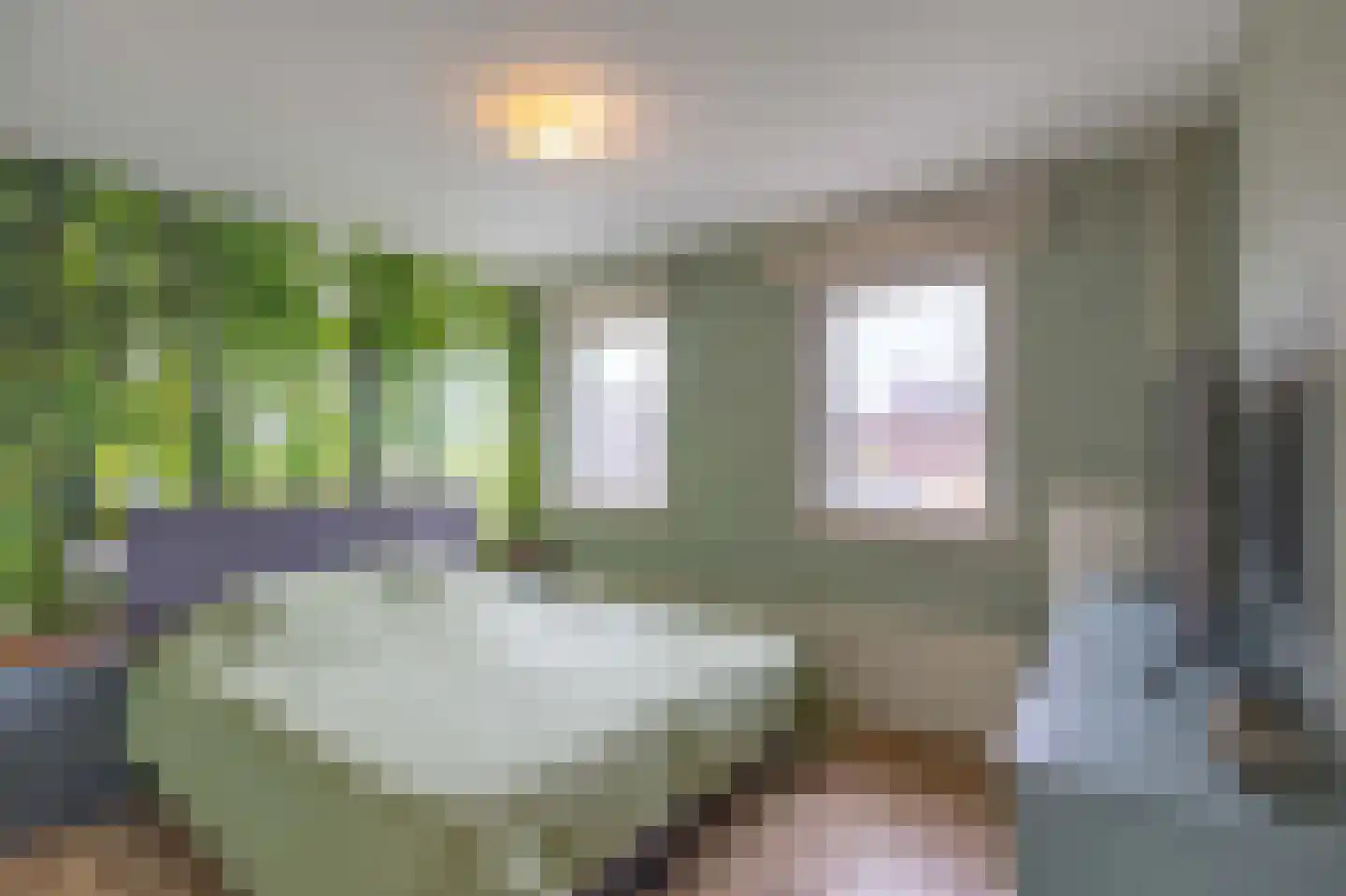 Baron de Liedelstraat 10 Bergen L thumbnail 22