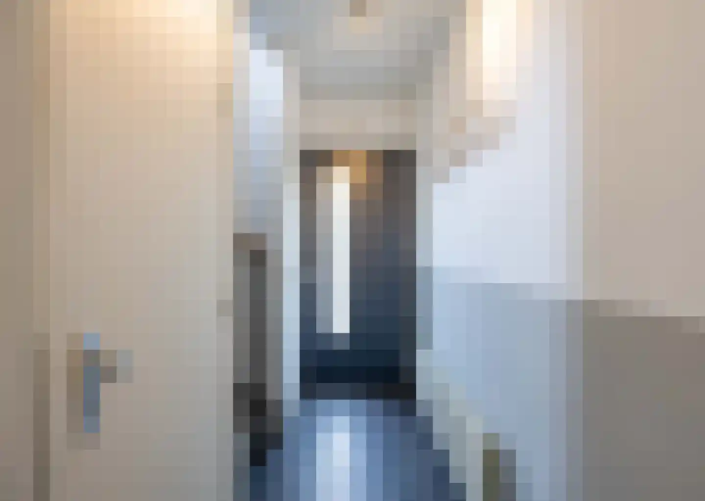 Baron de Liedelstraat 10 Bergen L thumbnail 5