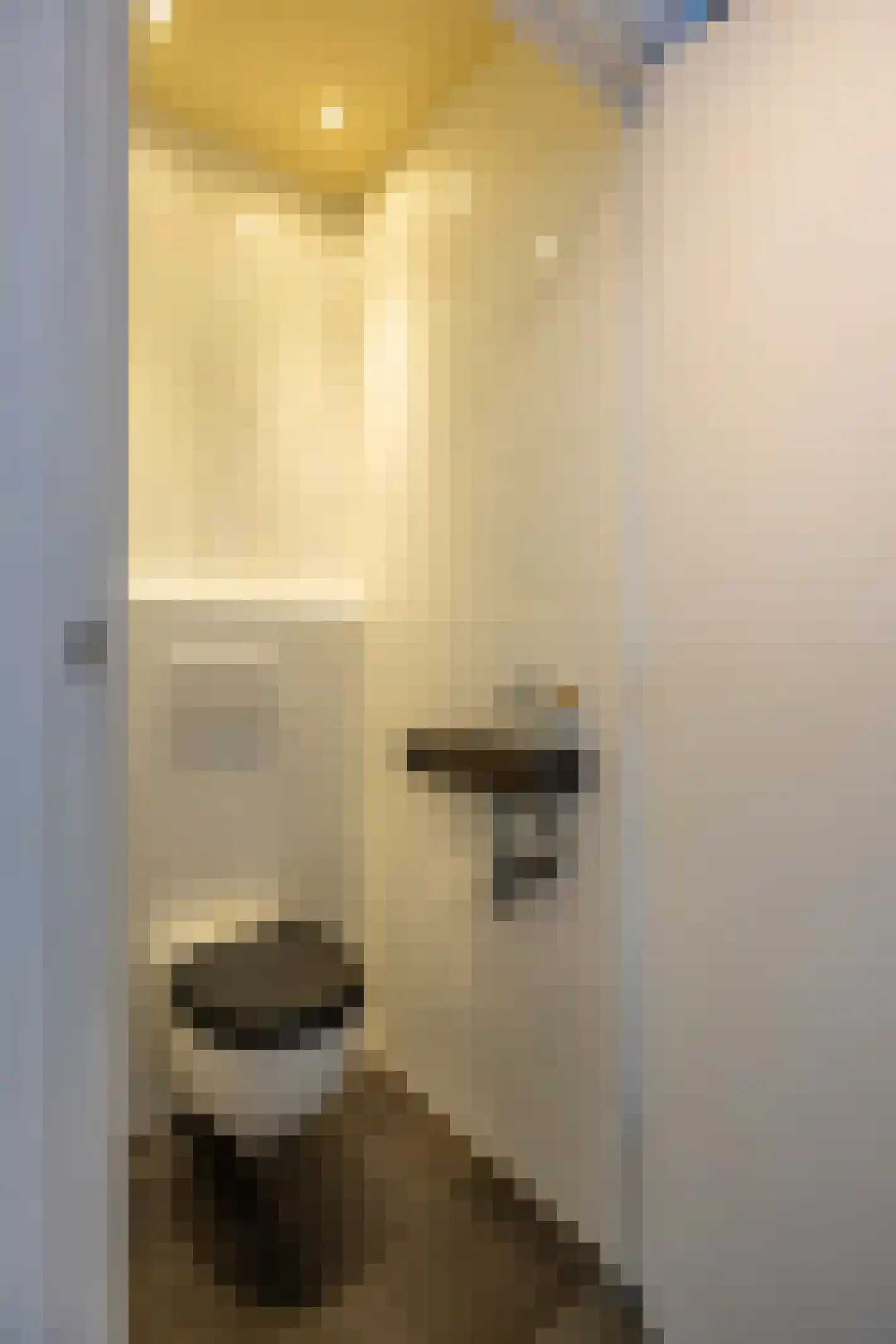Baron de Liedelstraat 10 Bergen L thumbnail 7