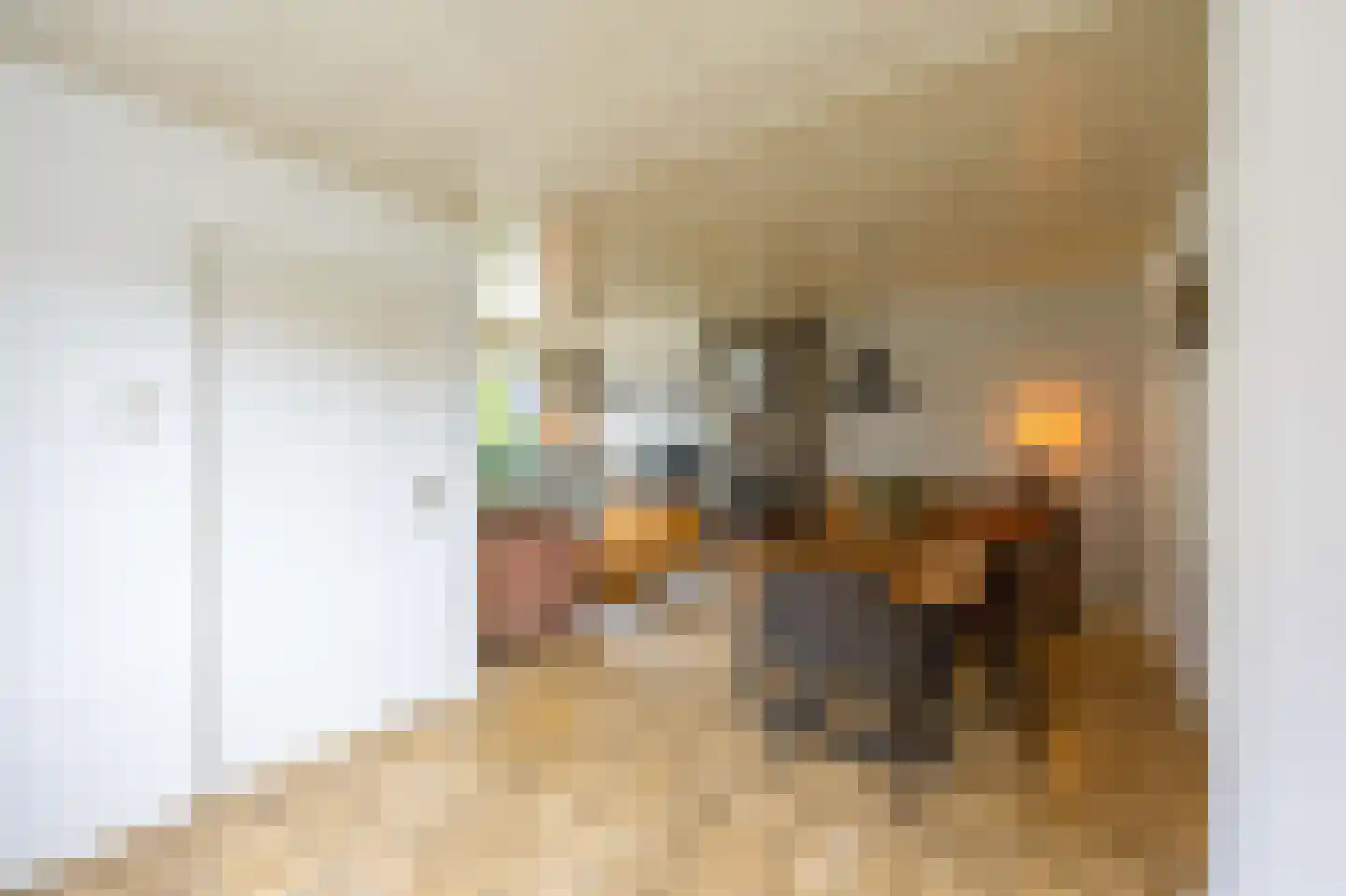 Baron de Liedelstraat 10 Bergen L thumbnail 9