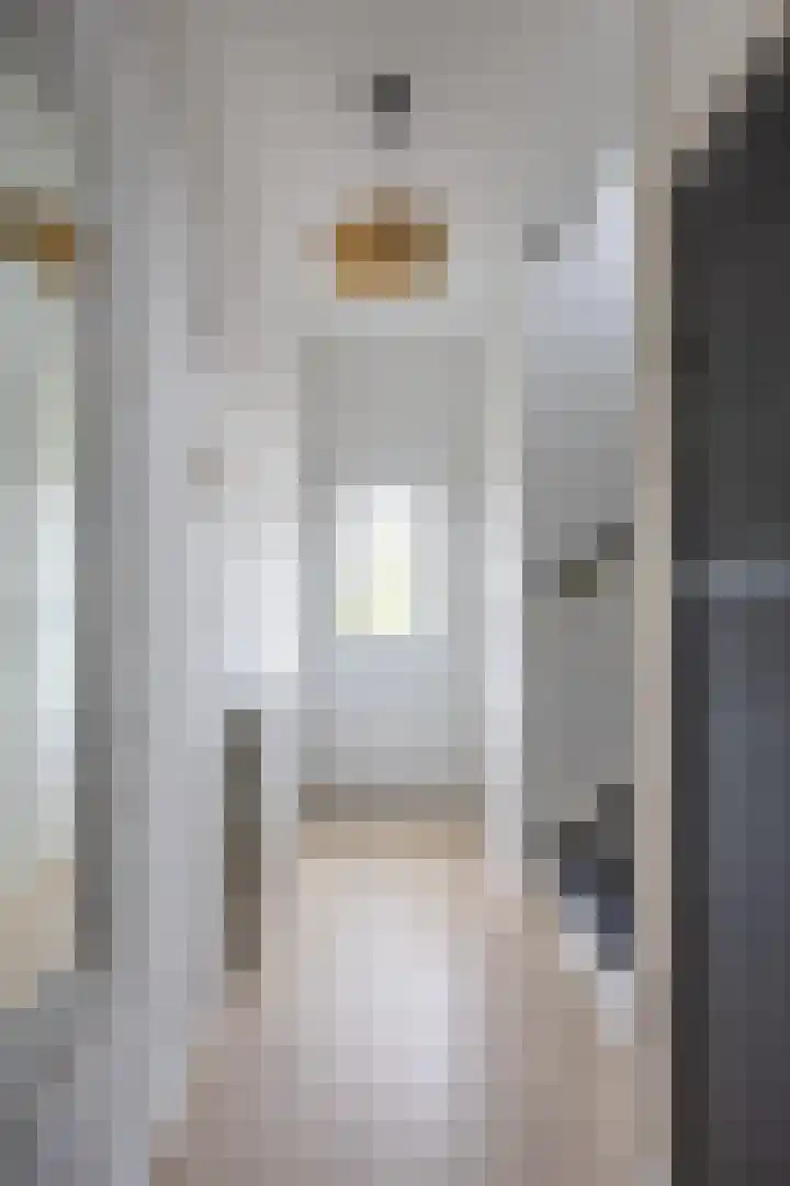 Baron de Liedelstraat 12 Bergen L thumbnail 4