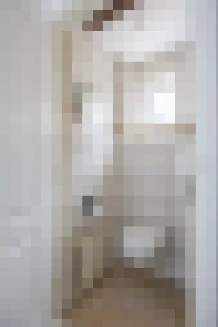 Baron de Liedelstraat 12 Bergen L thumbnail 5