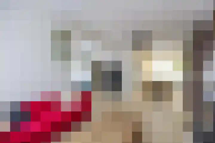 Baron de Liedelstraat 12 Bergen L thumbnail 7