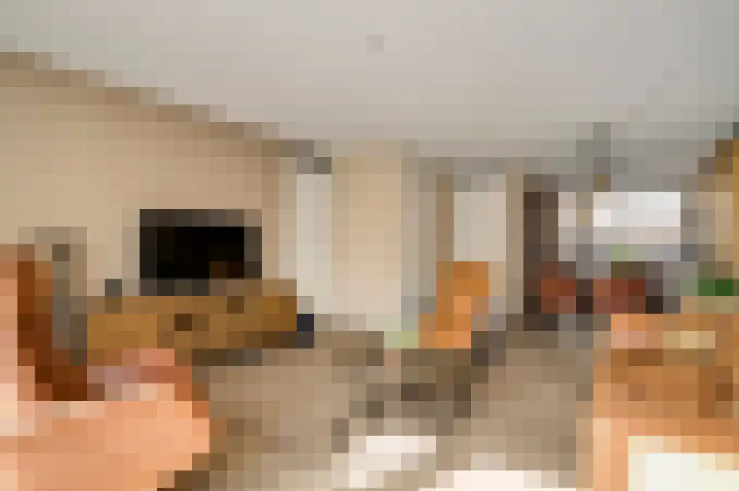 Baron de Schencklaan 12 Swalmen thumbnail 10