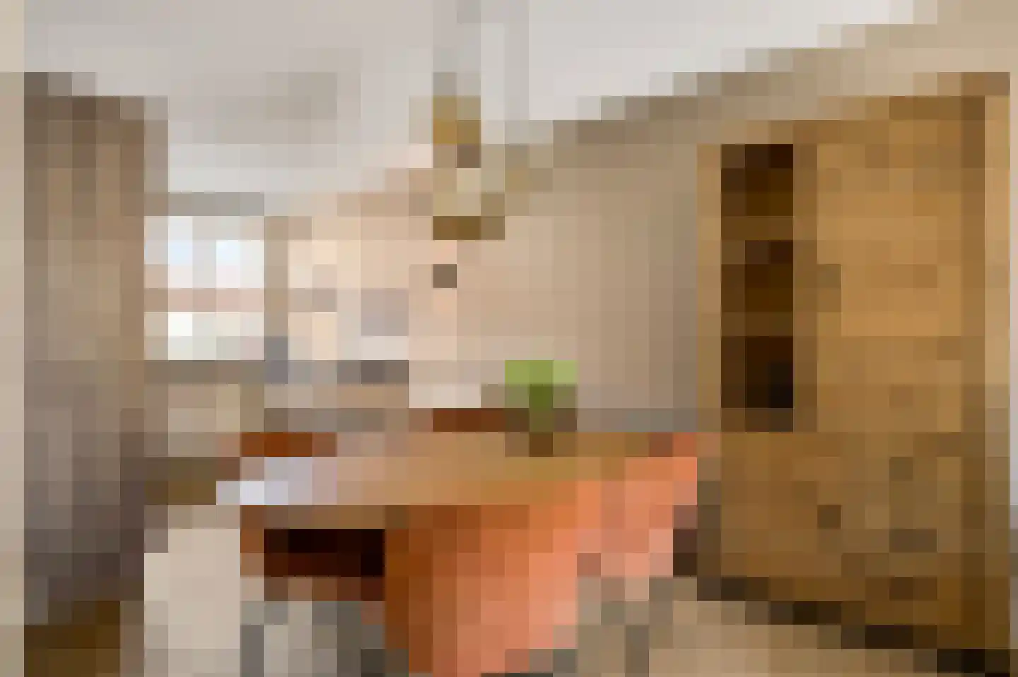 Baron de Schencklaan 12 Swalmen thumbnail 11