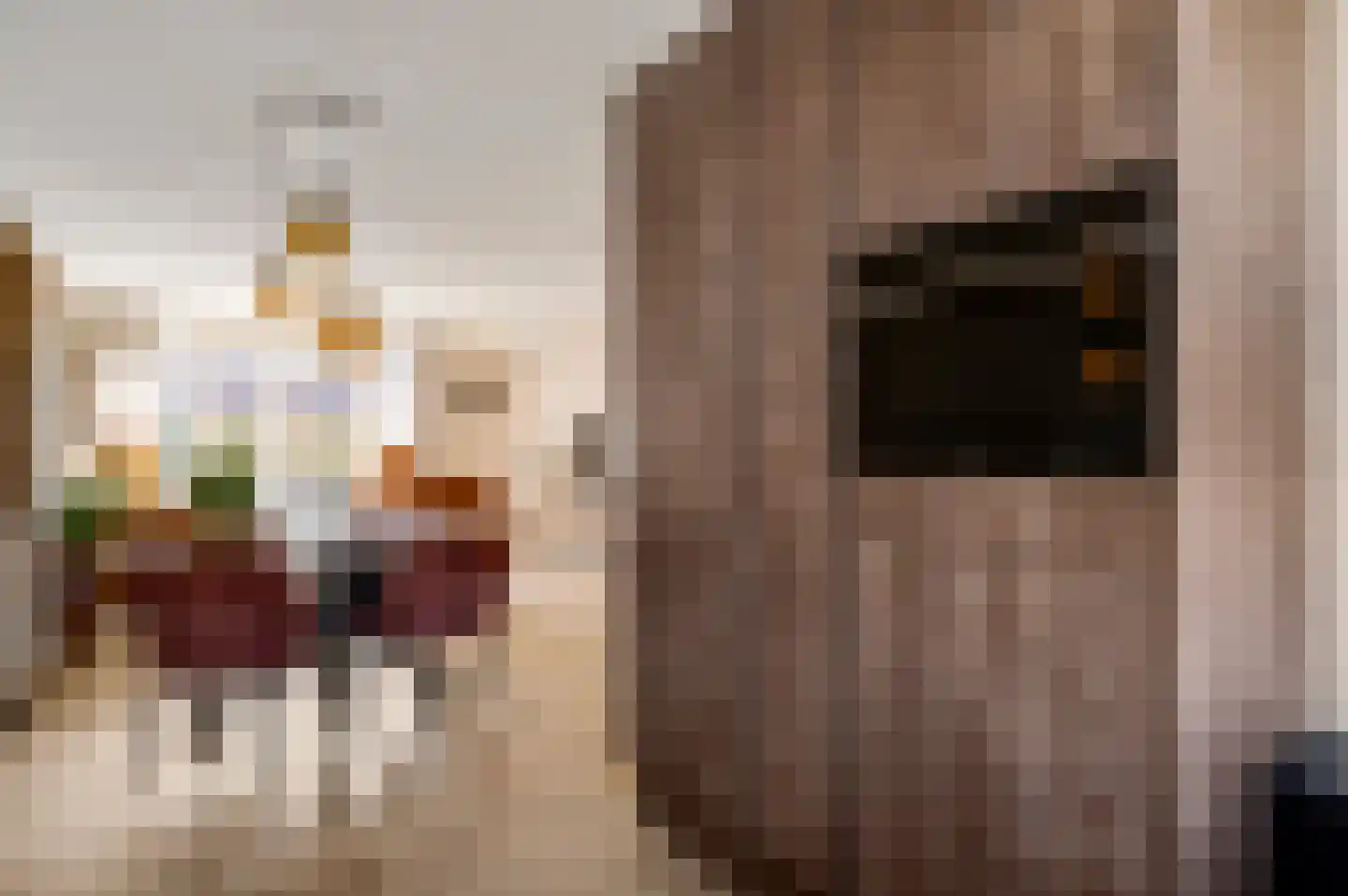Baron de Schencklaan 12 Swalmen thumbnail 14