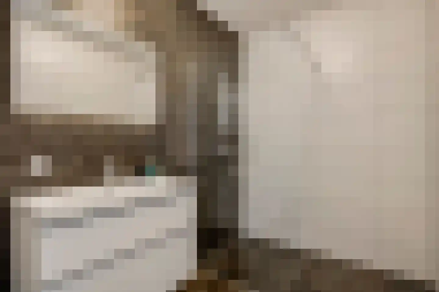 Baron de Schencklaan 12 Swalmen thumbnail 18