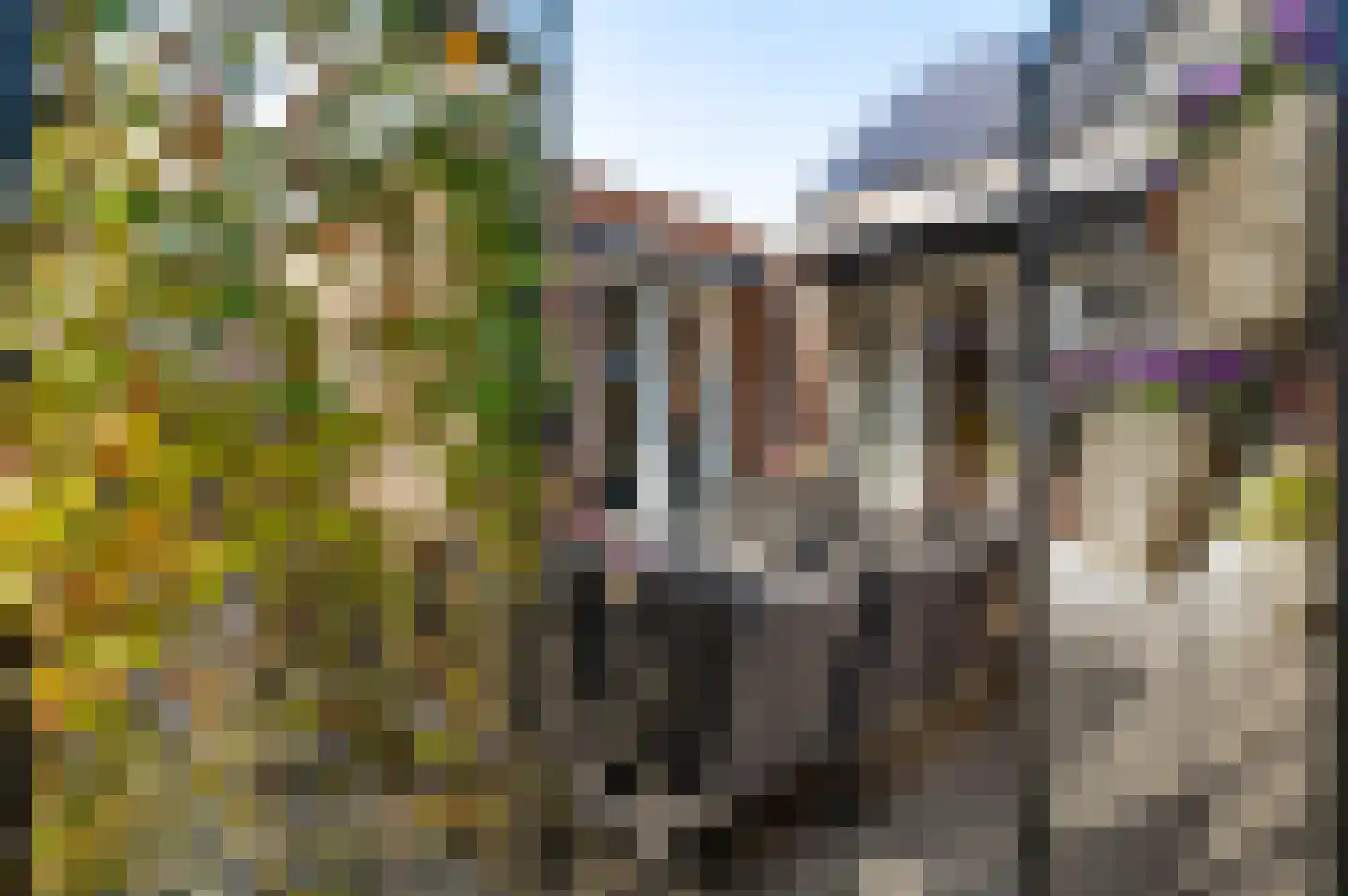 Baron de Schencklaan 12 Swalmen thumbnail 23
