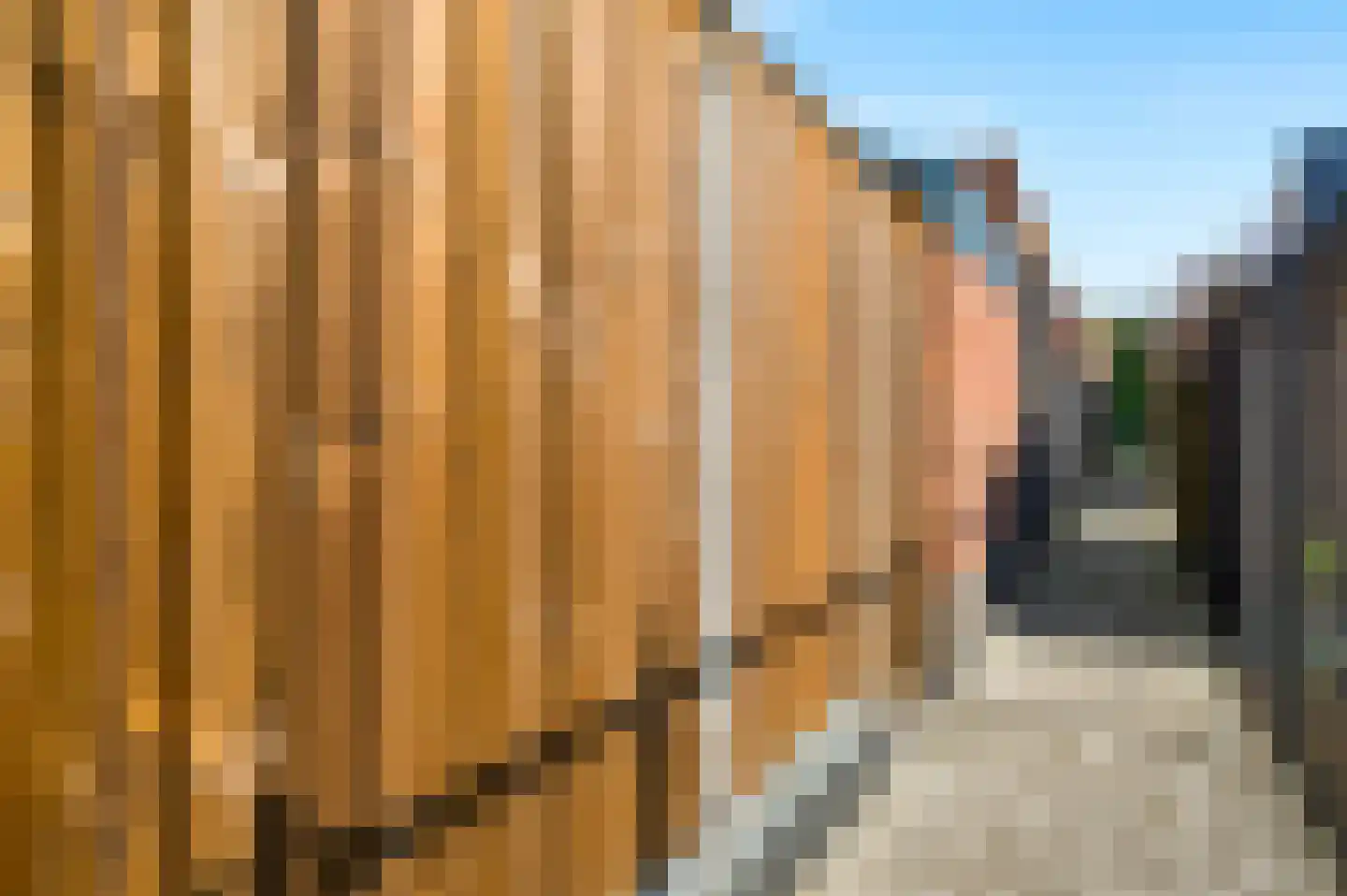 Baron de Schencklaan 12 Swalmen thumbnail 24