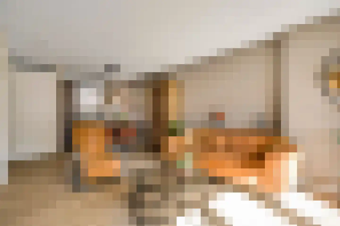 Baron de Schencklaan 12 Swalmen thumbnail 9