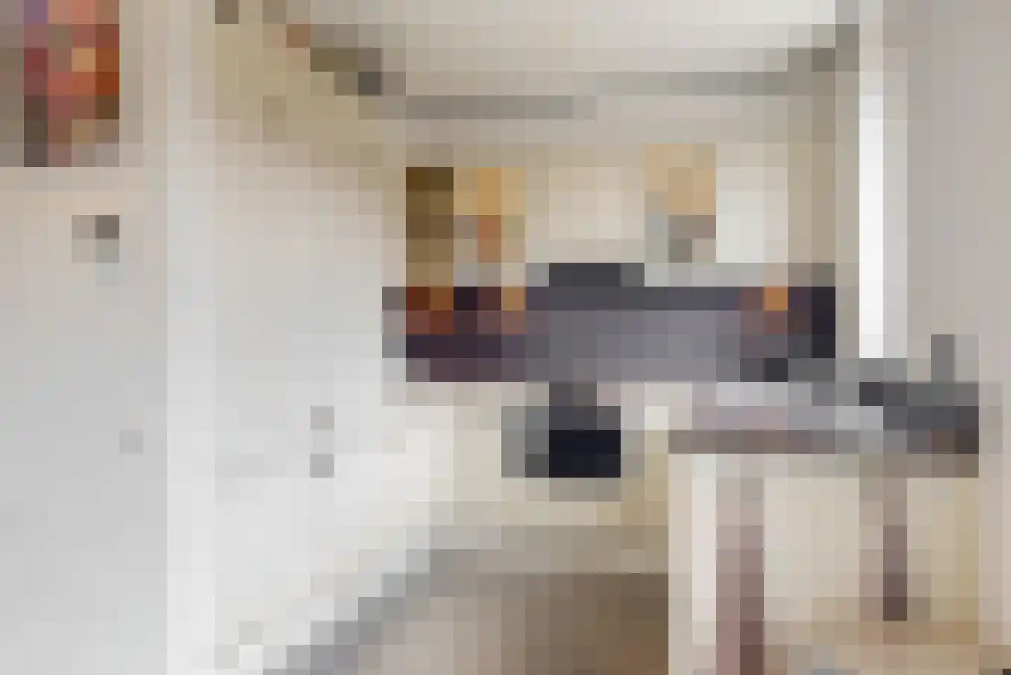 Baron de Schencklaan 30 Swalmen thumbnail 8